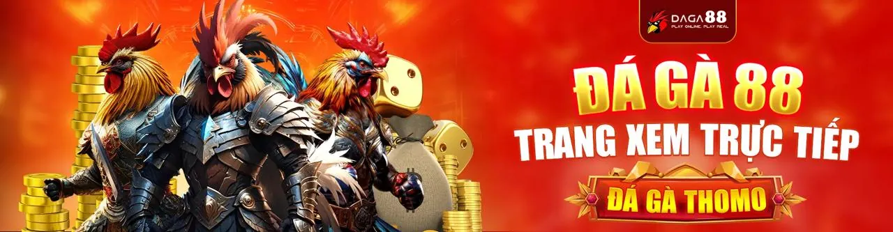 Đá Gà Trực Tuyến Hấp Dẫn tại rongho99 code