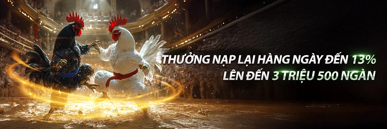 Đánh giá an toàn và uy tín của rongho99 code