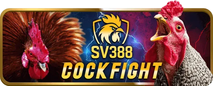 Thưởng chào mừng rongho99 code