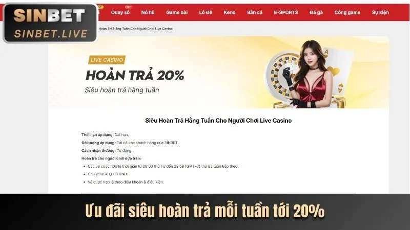 Tổng quan các chương trình ưu đãi tại Rongho99 Code